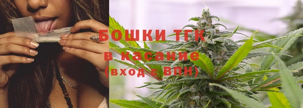стафф Пестово