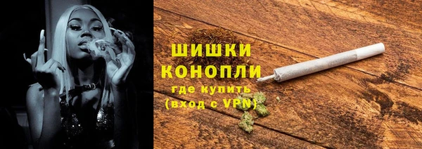 винт Новозыбков